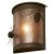 Ponderosa Pine Cone Dark Sky Sconce