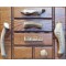 Large Antler Door Handle