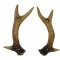 Faux Antler Pulls 5.9