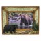 Bear Picture Frame 4 x 6 DISCONTINUED