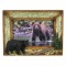 Bear Picture Frame 4 x 6