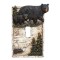 Black Bear in Birch Forest Switch Plates