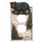 Black Bear in Birch Forest Outlet Plate