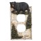 Black Bear in Birch Forest Switch Plates