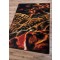 Brook Trout Rug 3 x 4
