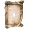 Antler & Birch Light Covers-CLEARANCE