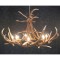 Yuma 6 Antler Chandelier