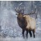 Emperor of the Woods Print Canvas Embellished and Signed