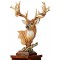 Noble Bearing – Whitetail Deer Sculpture
